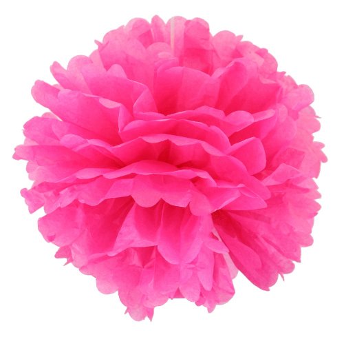 Fuschia Tissue Paper Pom Pom