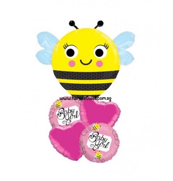 Baby Balloon Package